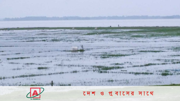 যমুনার পানি বেড়ে সিরাজগঞ্জের নিম্নাঞ্চল প্লাবিত