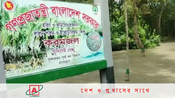 জলোচ্ছ্বাসে তলিয়ে যাচ্ছে সুন্দরবন, অস্তিত্ব সংকটে বন্যপ্রাণী