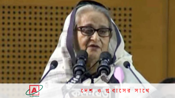 বঙ্গবন্ধুকে সপরিবারে হত্যার পর মানবাধিকার কোথায় ছিল : প্রধানমন্ত্রী