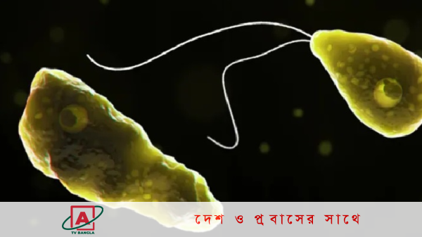 দুই শিশুর অস্বাভাবিক মৃত্যু, সন্দেহের তীর এই অণুজীবের দিকে