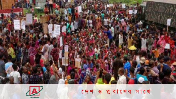 ফের আন্দোলনে হবিগঞ্জের চা শ্রমিকেরা