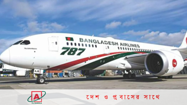 ওসমানী বিমানবন্দরে পাখির আঘাতে বিমান ক্ষতিগ্রস্ত