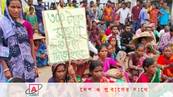 চা শ্রমিকদের মজুরি বাড়ল ২৫ টাকা, ধর্মঘট প্রত্যাহার