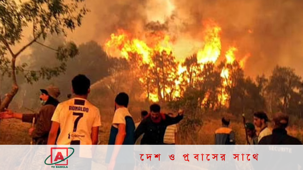 আলজেরিয়ায় দাবানলে ২৬ জনের মৃত্যু