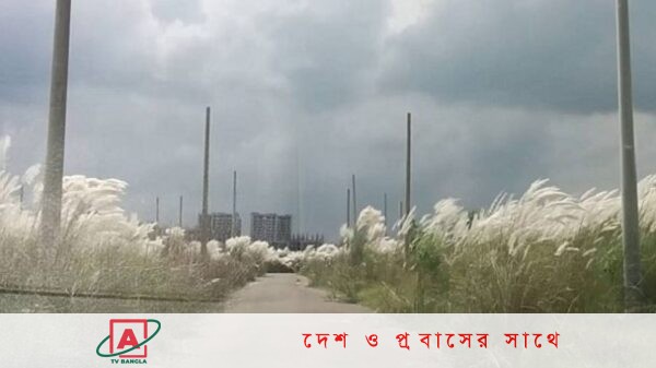 দিয়াবাড়ির কাশবনে তরুণীকে ‘গণধর্ষণ’