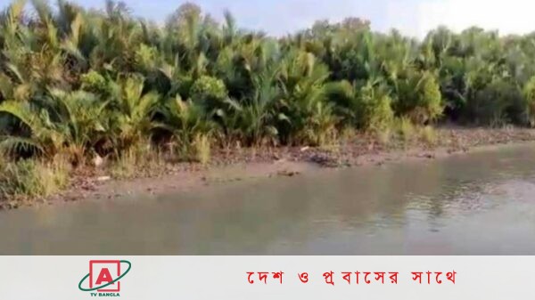 সুন্দরবনের কঞ্চিরখাল এলাকা থেকে ৩৩৭টি হরিণ শিকারের ফাঁদ জব্দ
