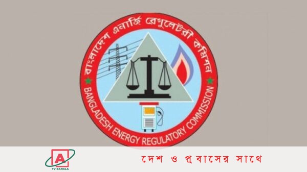 বিদ্যুতের পাইকারি দাম বৃদ্ধির প্রস্তাব নাকচ করে দিয়েছে বিইআরসি