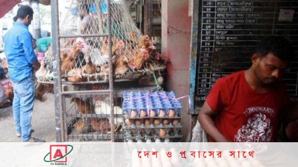 মাছ লাগামহীন ,ডিমের ডজন ১৫০ টাকা