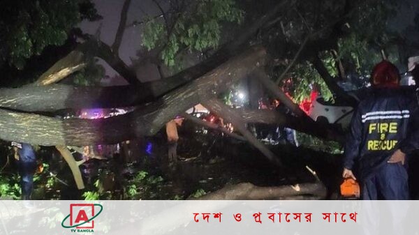 চার জেলায় ৭ জনের মৃত্যু