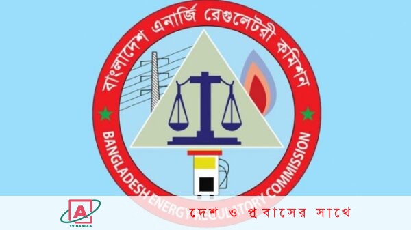 আগামী বৃহস্পতিবার বিদ্যুতের পাইকারি পর্যায়ে নতুন দাম ঘোষণা করবে