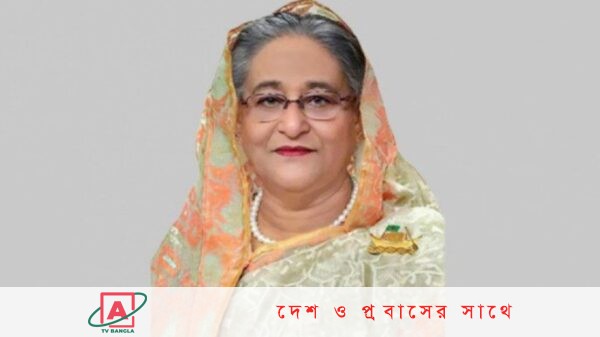 বাংলাদেশ সেনাবাহিনী পেশাগত দক্ষতা ও কর্তব্যপরায়ণতার মাধ্যমে দেশের সেবা করবে : প্রধানমন্ত্রী