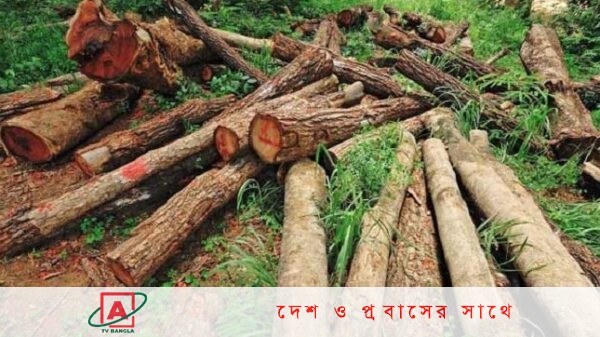 জীববৈচিত্র্য রক্ষার লক্ষ্যে ২০৩০ সাল পর্যন্ত বনের গাছ কাটা যাবে না