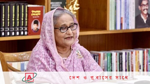বিদ্যুৎ ব্যবহারে সাশ্রয়ী হতে হবে : প্রধানমন্ত্রী