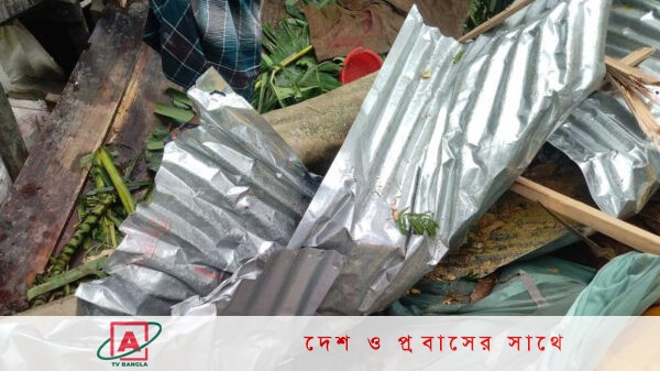 সিত্রাংয়ের প্রভাবে ঝড়ে আট জেলায় ১৪ জন নিহত