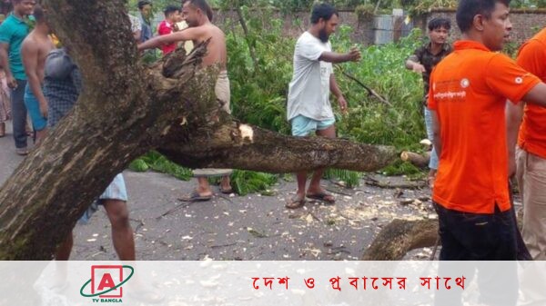 ভেঙে পড়া গাছ সরিয়ে যান চলাচল স্বাভাবিক