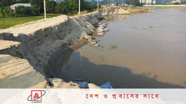 যমুনায় বিলীন এবার সিরাজগঞ্জের ১৫০ মিটার স্পার বাঁধ