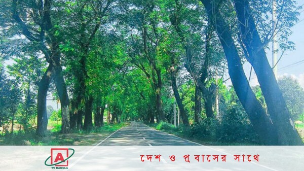 রুমা ও রোয়াংছড়ি উপজেলায় পর্যটক ভ্রমণে আরও নিষেধাজ্ঞা বাড়ল