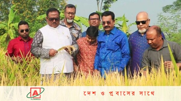 খাদ্যশস্য মজুত করে সংকট তৈরি না করতে বলেন খাদ্যমন্ত্রী