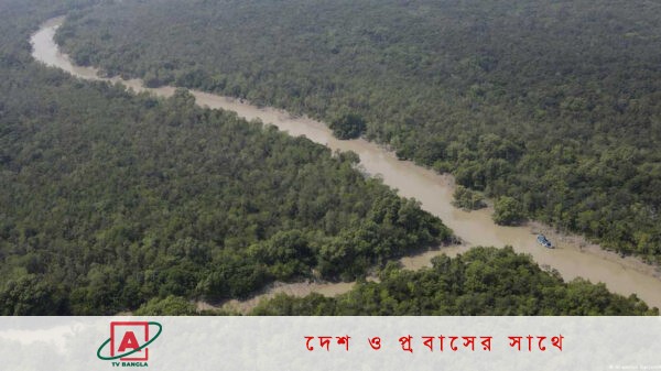 ঘূর্ণিঝড়ে বিপন্ন সুন্দরবন