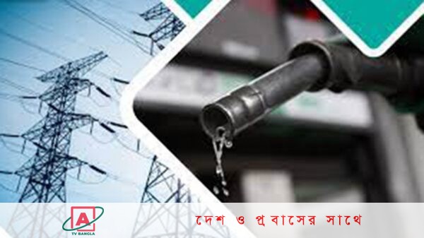 এখন থেকে সরকারক জ্বালানি ও বিদ্যুতের নির্ধারণ করে দিতে পারবে