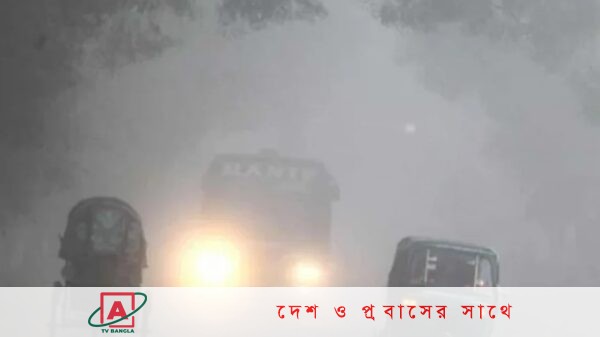 কুয়াশায় নিরাপদে গাড়ি চালাতে যেসব নির্দেশনা দিলো বিআরটিএ