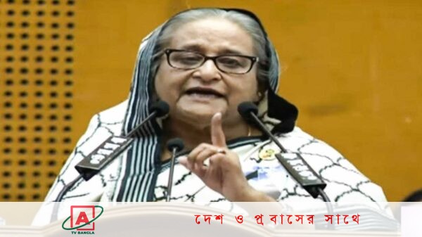 খুনিদের মানবাধিকার রক্ষায় ব্যস্ত আমেরিকা-কানাডা