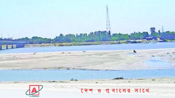 তিস্তা শুকিয়ে বালুচর