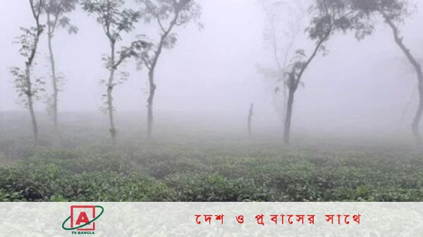 শ্রীমঙ্গলেদেশের সর্বনিম্ন তাপমাত্রা নামল ৫ ডিগ্রিতে