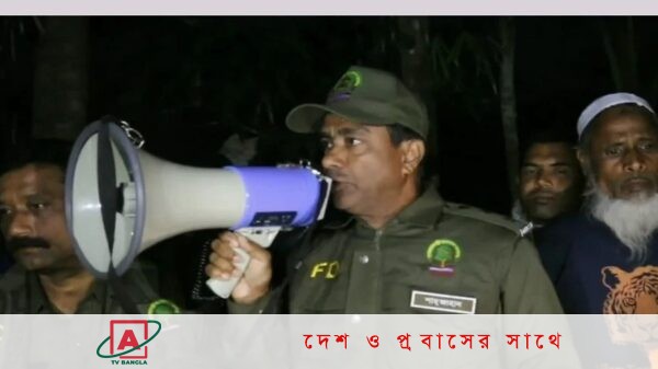 সুন্দরবনের লোকালয়ে দুই বাঘের গর্জন