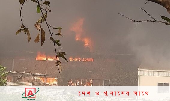 মোংলা ইপিজেডে অগ্নিকাণ্ড