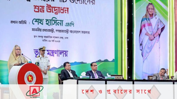 লন্ডনে বড় একটি টমেটোর দামই ৩০০ টাকা