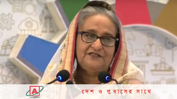 এমন কোনো চাপ নেই, যা শেখ হাসিনাকে দিতে পারে