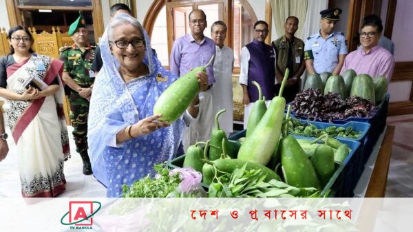 প্রধানমন্ত্রীর নির্দেশে পতিত জমিতে চাষ