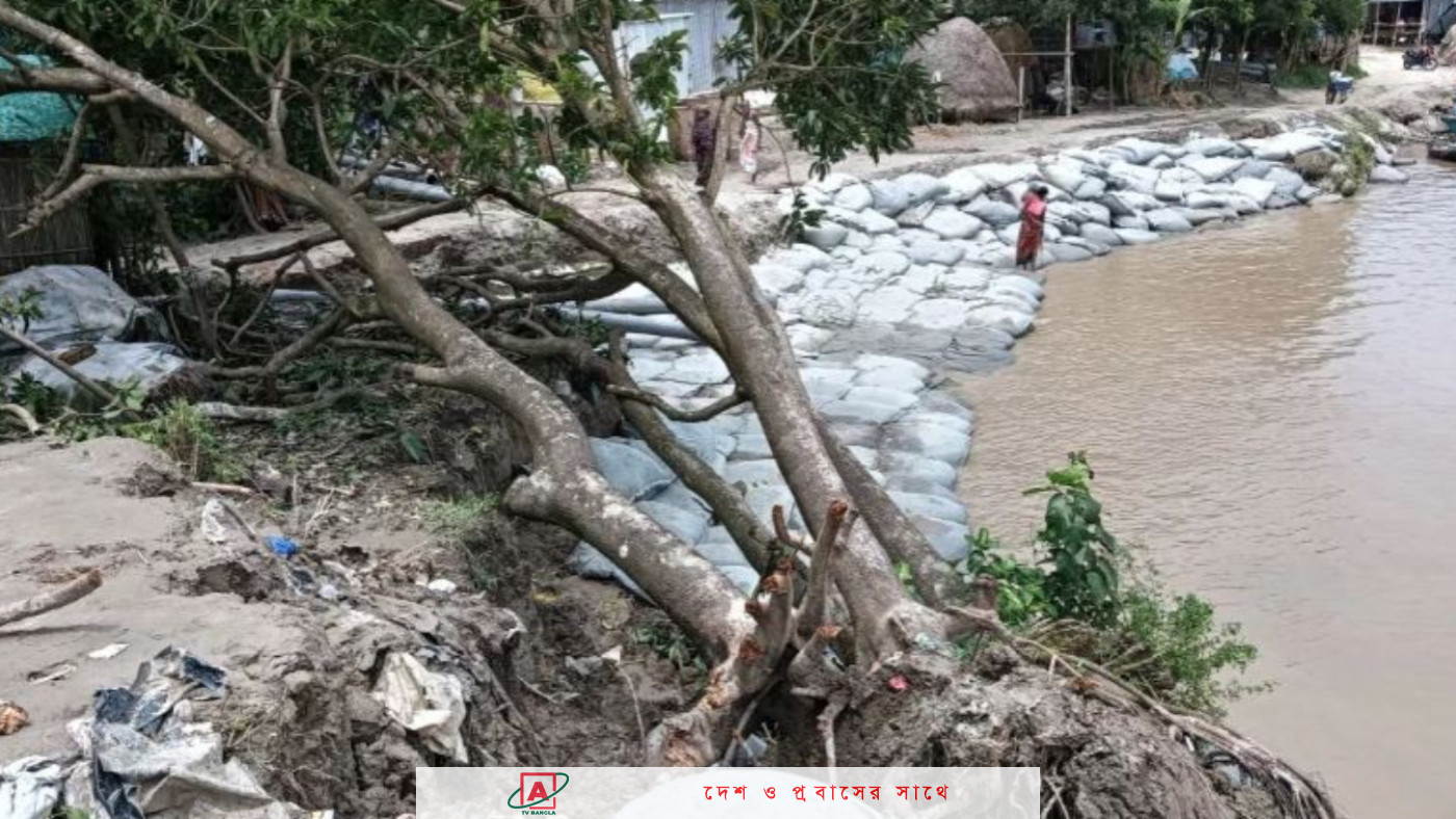 ভাঙন ঝুঁকিতে দৌলতদিয়ার সবগুলো ফেরিঘাট